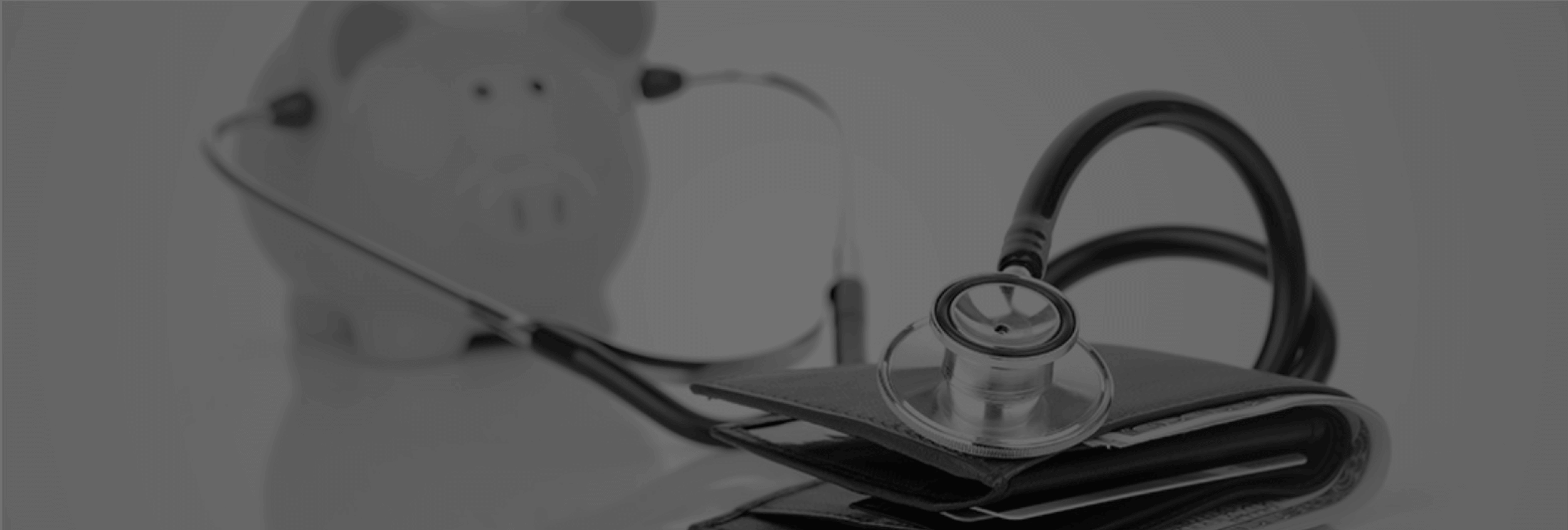 Wiss OE images – grey tone_Page_03