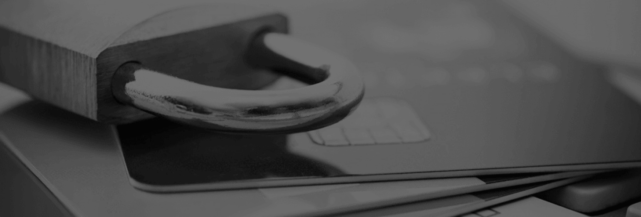 Wiss OE images – grey tone_Page_23